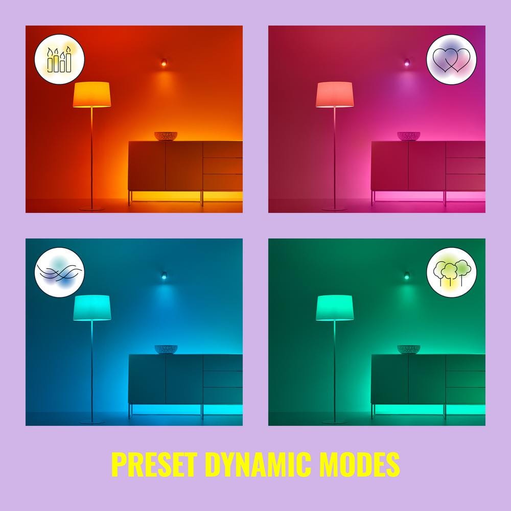 Philips Remote Dimmer Switch with Batteries Powered by WiZ (1-Pack)