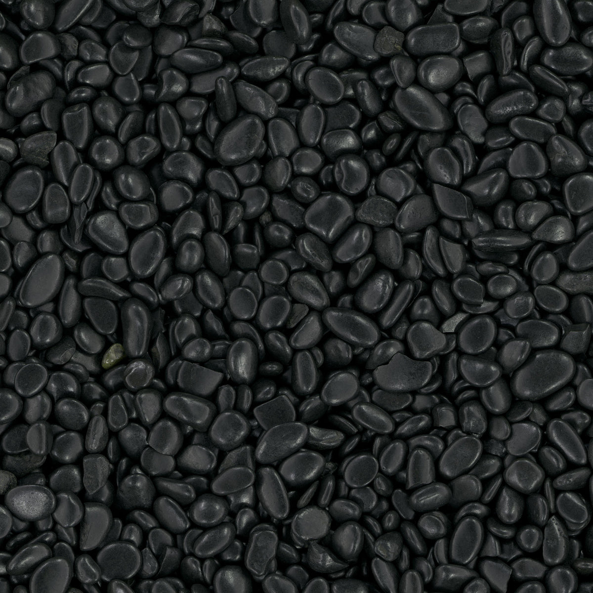 MSI Black Polished Beach Pebbles, 1–2 in., 0.5 cu. ft. Bag, 40 lbs (Pallet of 55 Bags)