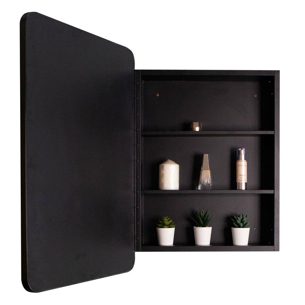 Aoibox 20 in. W x 28 in. H Rectangular Black Silver Iron Powder Medicine Cabinet with Mirror, 1 Door, 2 Shelves
