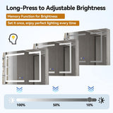 Simple Project 20 in. W x 28 in. H Rectangular Aluminum Light Medicine Cabinet with Mirror, Defogging, Mounted Recessed or Surface