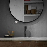 Lukvuzo Modern Commercial Black Bathroom Sink Faucet & Mixer