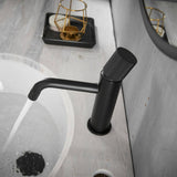 Lukvuzo Modern Commercial Black Bathroom Sink Faucet & Mixer