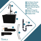 TEHILA 23.5 in. Black Thermoplastic Wall Mounted Utility Sink with Pull-down Sprayer Faucet