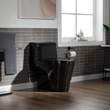WOODBRIDGE 1-Piece 1.0/1.6 GPF High-Efficiency Dual-Flush Elongated Toilet, Black with Chrome Button, Soft-Close Seat Included