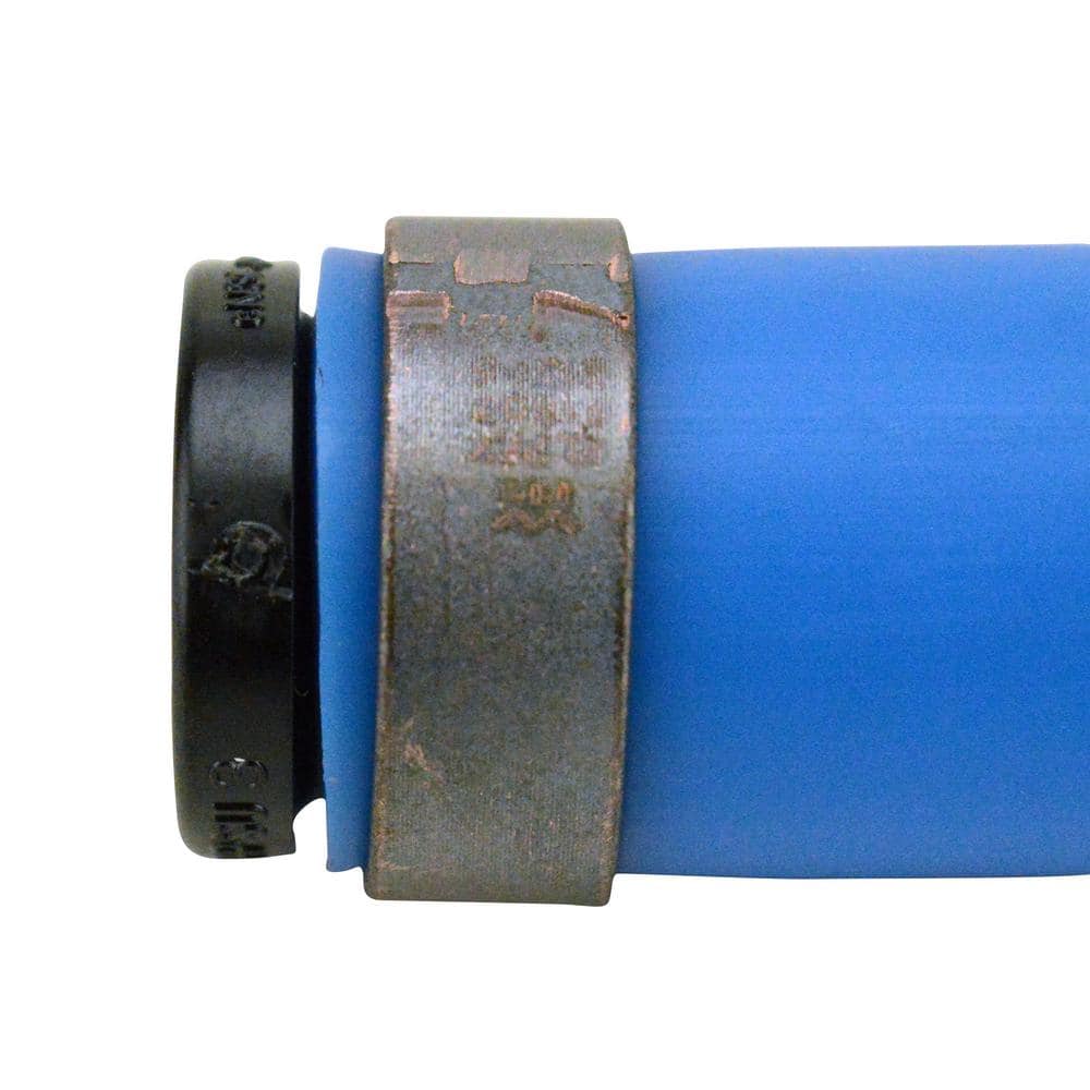 Apollo 3/4 in. x 5 ft. Blue PEX Pipe