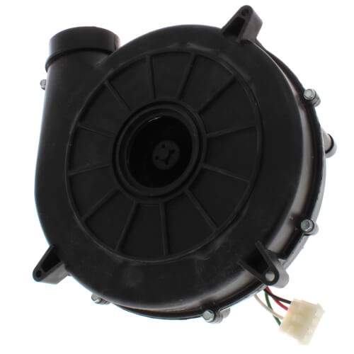 Trane BLW00879 blower motor - detail view (Product Type: Blower Motor)