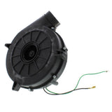 Trane BLW01137 blower motor - detail view (Product Type: Blower Motor)