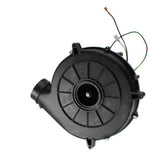 Trane BLW01138 blower motor - detail view (Product Type: Blower Motor)