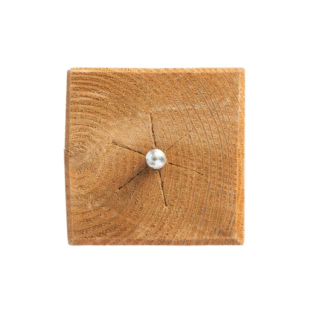 ProWood 4 in. x 4 in. Gothic Wood Post Cap Finial (6-Pack)