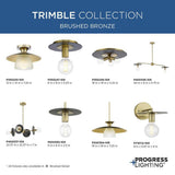 Progress Lighting Trimble 4-Light Brushed Bronze Linear Chandelier
