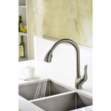 ANZZI Accent Series Single-Handle Pull-Down Sprayer Kitchen Faucet, 16.43 in. H, Brushed Nickel