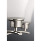 Progress Lighting Joy Collection 5-Light Brushed Nickel Etched White Inside Glass Traditional Chandelier Light