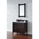 James Martin Vanities Brittany 21.7 x 39.2 Inch Burnished Mahogany Bathroom Vanity Mirror
