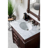James Martin Vanities Brittany 21.7 x 39.2 Inch Burnished Mahogany Bathroom Vanity Mirror