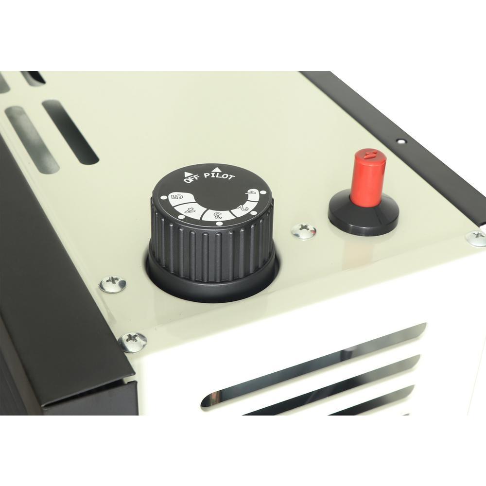 25,000 BTU Direct Vent Propane Heater - Super Arbor