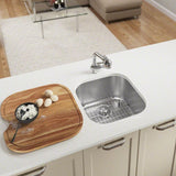 All-in-One Undermount Stainless Steel 20 in. Single Bowl Bar Sink