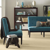 STAINMASTER PetProtect Baxter I Spaniel Textured Carpet (Indoor)