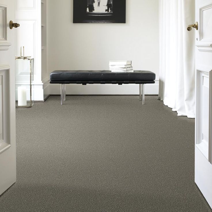 STAINMASTER PetProtect Baxter II Bentley Textured Carpet (Indoor)