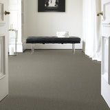 STAINMASTER PetProtect Baxter II Bentley Textured Carpet (Indoor)