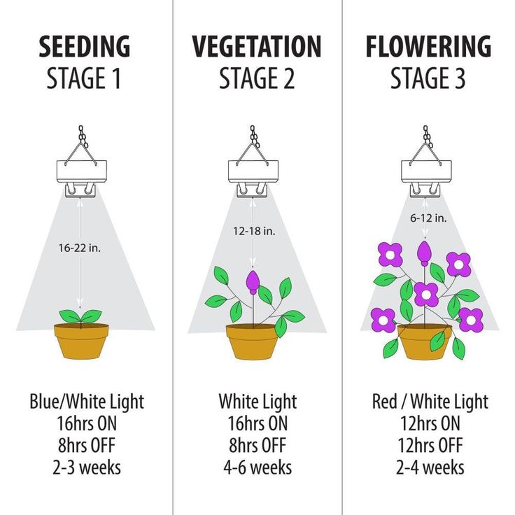 2 ft. 32-Watt White LED 3 Adjustable Spectrum Linkable Plant Grow Light Fixture (4-Pack)