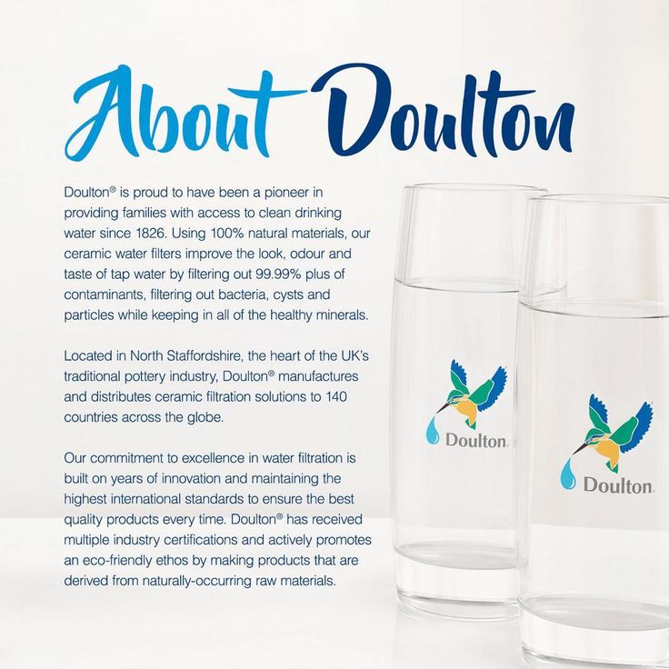 Doulton SS2 Counter Top Gravity Filter System