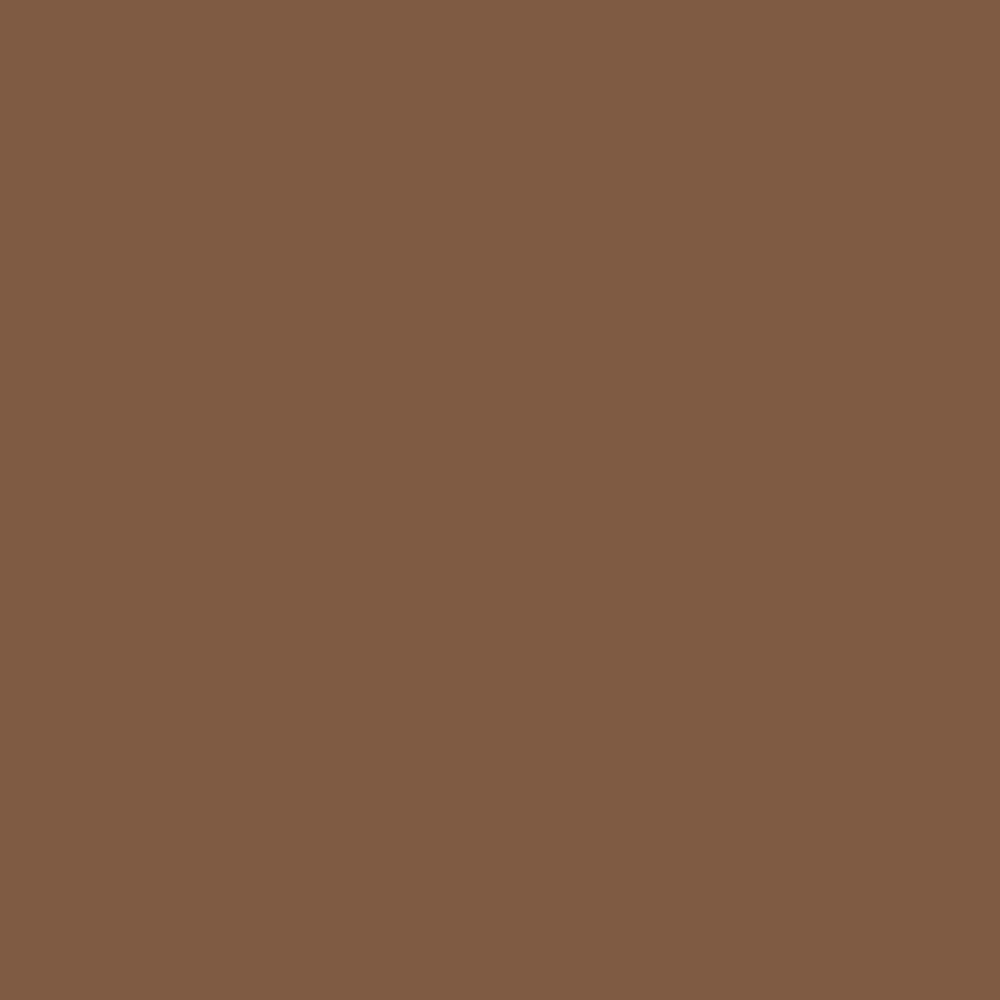 BEHR 5 gal. #SC-110 Chestnut Solid Color House and Fence Exterior Wood Stain - Super Arbor