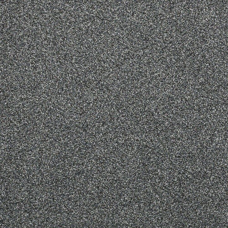 STAINMASTER PetProtect Mineral Bay II 12-ft Yacht Club Textured Carpet Sample (Interior)