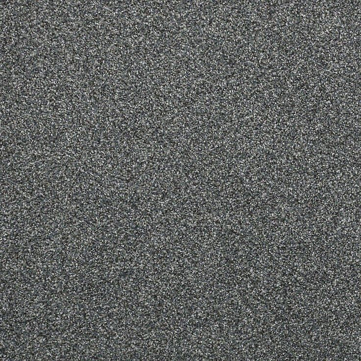 STAINMASTER PetProtect Mineral Bay II 12-ft Yacht Club Textured Carpet Sample (Interior)