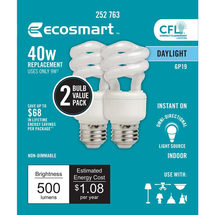 EcoSmart 40-Watt Equivalent E26 Spiral CFL Light Bulb Daylight (2-Pack)