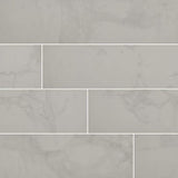 Carrara 24 in. x 24 in. Polished Porcelain Floor and Wall Tile (16 sq. ft. / case) - Super Arbor