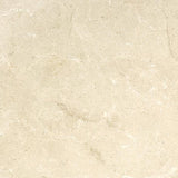 Emser MARBLE Crema Marfil Plus 24-in x 24-in Polished Natural Stone Marble Stone Look Tile