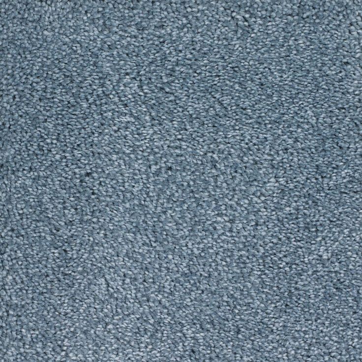 STAINMASTER Signature Briar Patch Radiant Textured Carpet Sample (Interior)