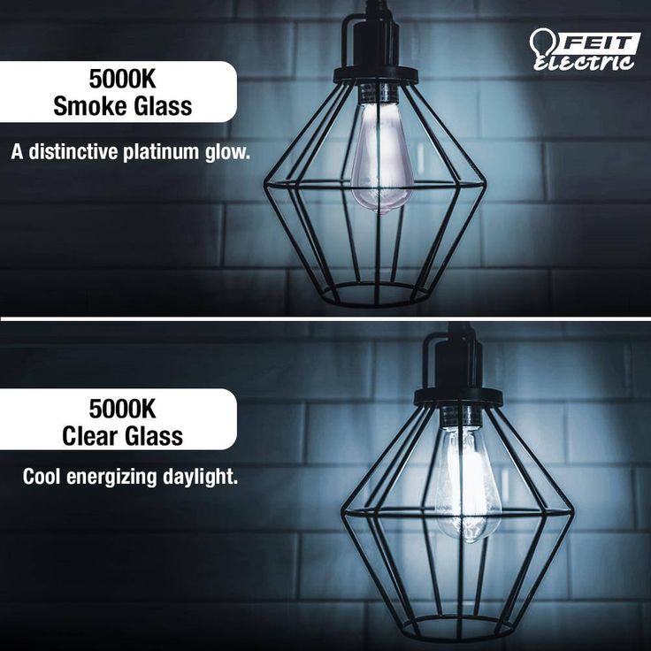 Feit Electric 60-Watt Equivalent ST19 Dimmable LED Smoke Glass Vintage Edison Light Bulb With Straight Filament Daylight (4-Pack)
