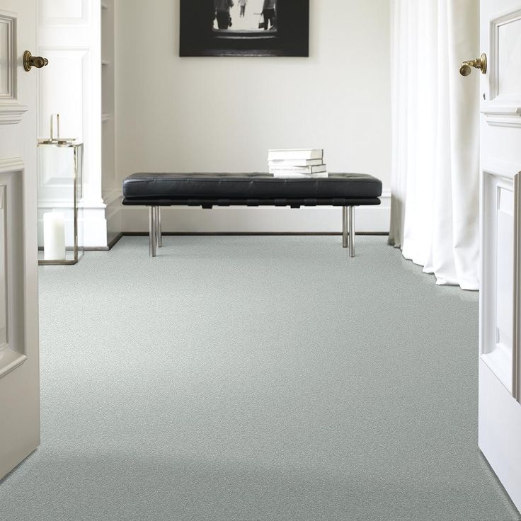 STAINMASTER PetProtect Baxter I Retriever Textured Carpet (Indoor)
