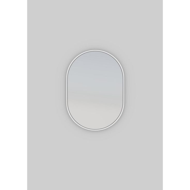 28 in. x 20 in. Pill Shape Black Stainless Steel Framed Mirror