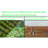 Viagrow 1.4 lbs. Premium Soilless Coconut Coir Brick Grow Media (12-Pack)