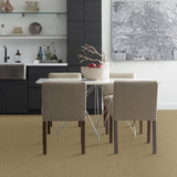 STAINMASTER PetProtect Baxter I Molly Textured Carpet (Indoor)