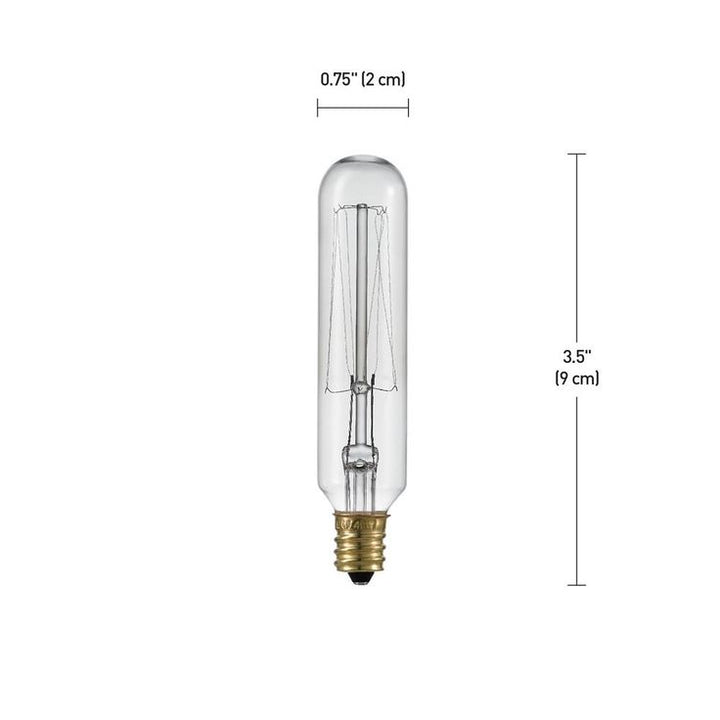 Globe Electric 40-Watt T6 Vintage Edison Incandescent Light Bulb (4-Pack)