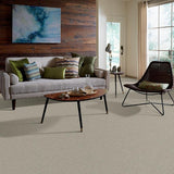 STAINMASTER PetProtect Baxter II Marmaduke Textured Carpet (Indoor)