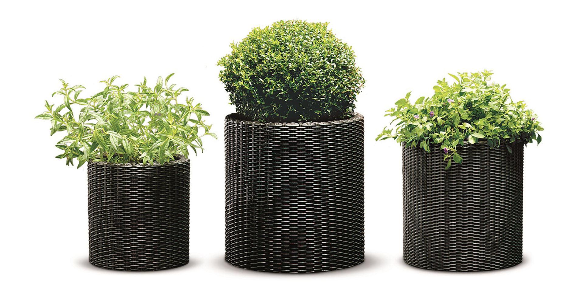 c966af23-b42d-4de7-90a6-e2bd431305e2_1.18715a40620c953f0cde392969c178a6_-425359059.jpeg