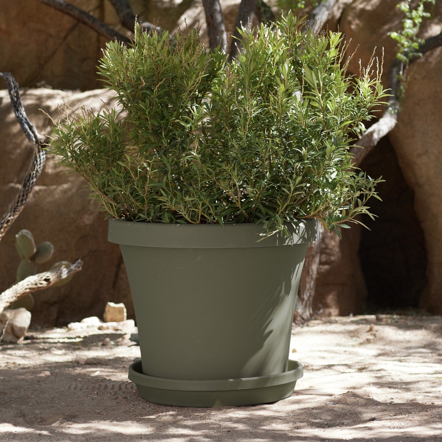 Bloem Terra Pot Planter 24" Living Green