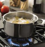 GE 30 in. 5.0 cu. ft. Gas Range in Stainless Steel