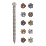 CAMO #10 2-1/2 in. Stone Gray Star Drive Trim-Head Composite Deck Screw (100-Count)