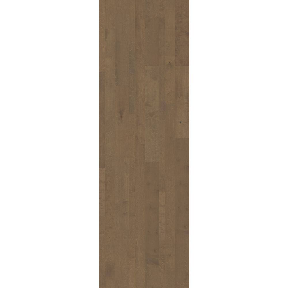 Shaw Legacy Caravan Birch 3/8 In. T X 7 in. W Tongue and Groove Hand Scraped Engineered Hardwood Flooring (44.29 sq.ft./case)