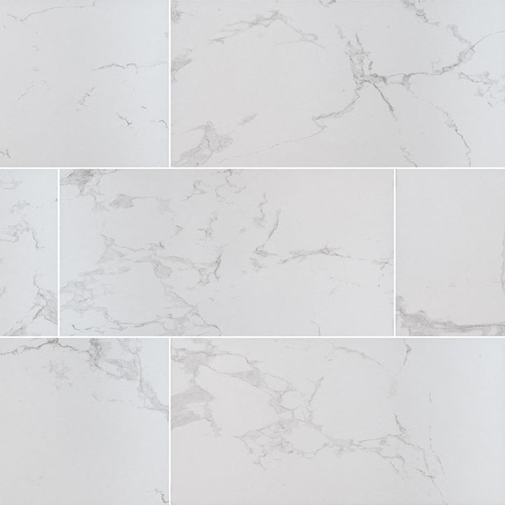 MSI Praia Carrara 24 in. x 48 in. Polished Porcelain Floor and Wall Tile (7 cases/112 sq. ft./pallet)