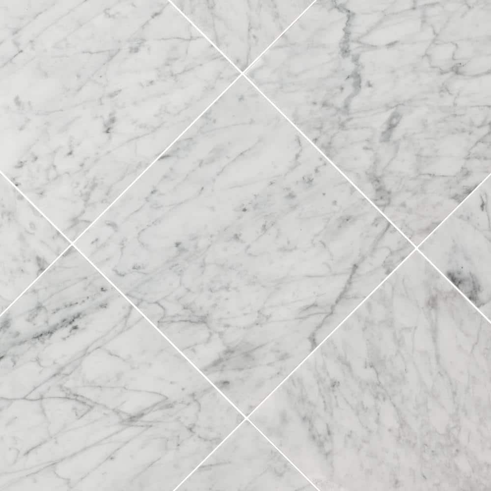 MS International Bianco Carrara 12 x 12 Marble Floor and Wall Tile