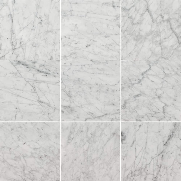 MS International Bianco Carrara 12 x 12 Marble Floor and Wall Tile