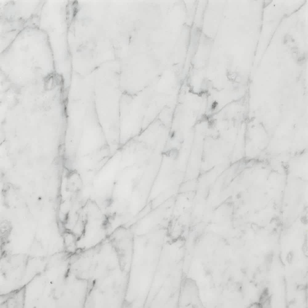 MS International Bianco Carrara 12 x 12 Marble Floor and Wall Tile