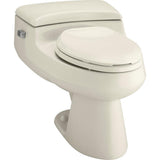 San Raphael Comfort Height 1-Piece 1.0 GPF Single Flush Elongated Toilet in Thunder Grey, Seat Included - Super Arbor