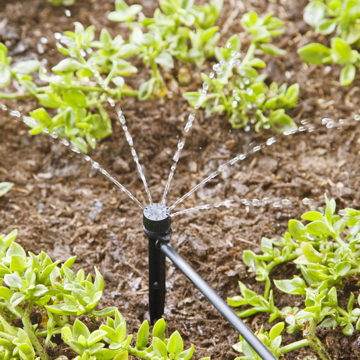 Raindrip Half-Circle Drip Irrigation Bubbler, 20 GPH, Adjustable Flow, 1/4 in. Inlet